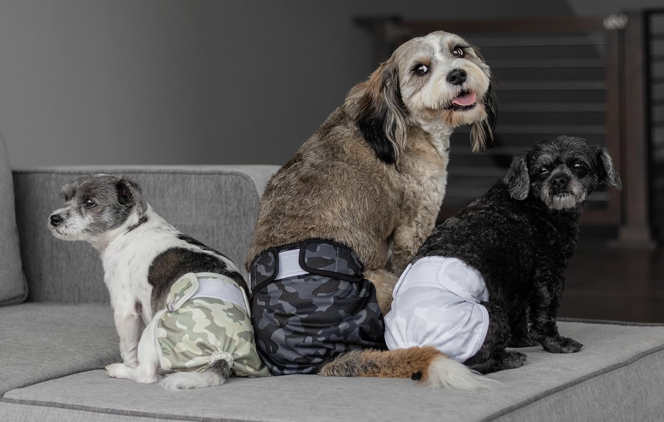 Pet Parents® Washable Dog Diapers (3pack) + Extendrs® of Durable Doggie Diapers, Premium Dog Diapers Female & Male (Small, Camo)