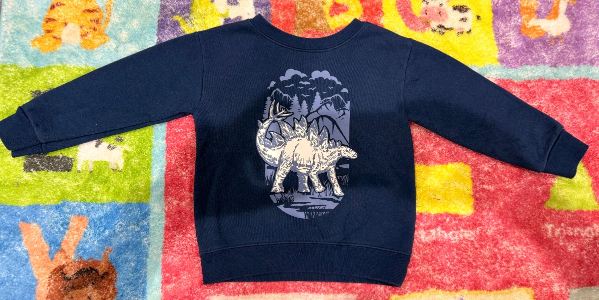 Garanimals Kids Blue Dinosaur Sweatshirt – Size 2T