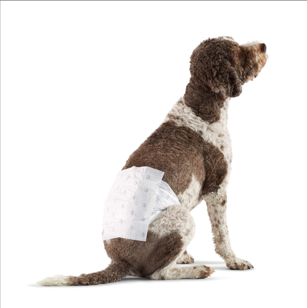 Amazon Basics Male Dog Diapers, 30 Count, Large, Ultra Absorbent Disposable Wrap with Secure Fit, Leakproof and Comfortable