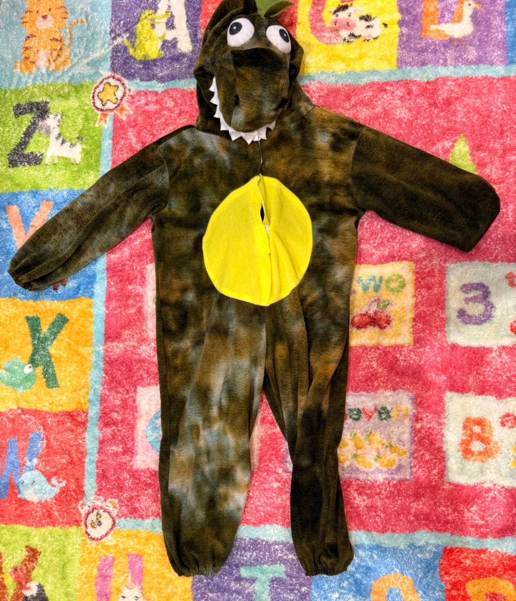 Toddler Dinosaur Costume 2T – Hood Included