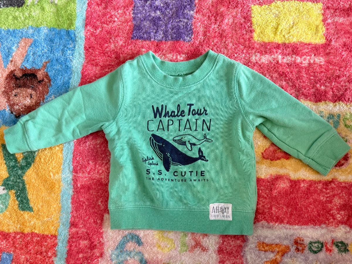 Carter’s sweatshirt, size 12 months