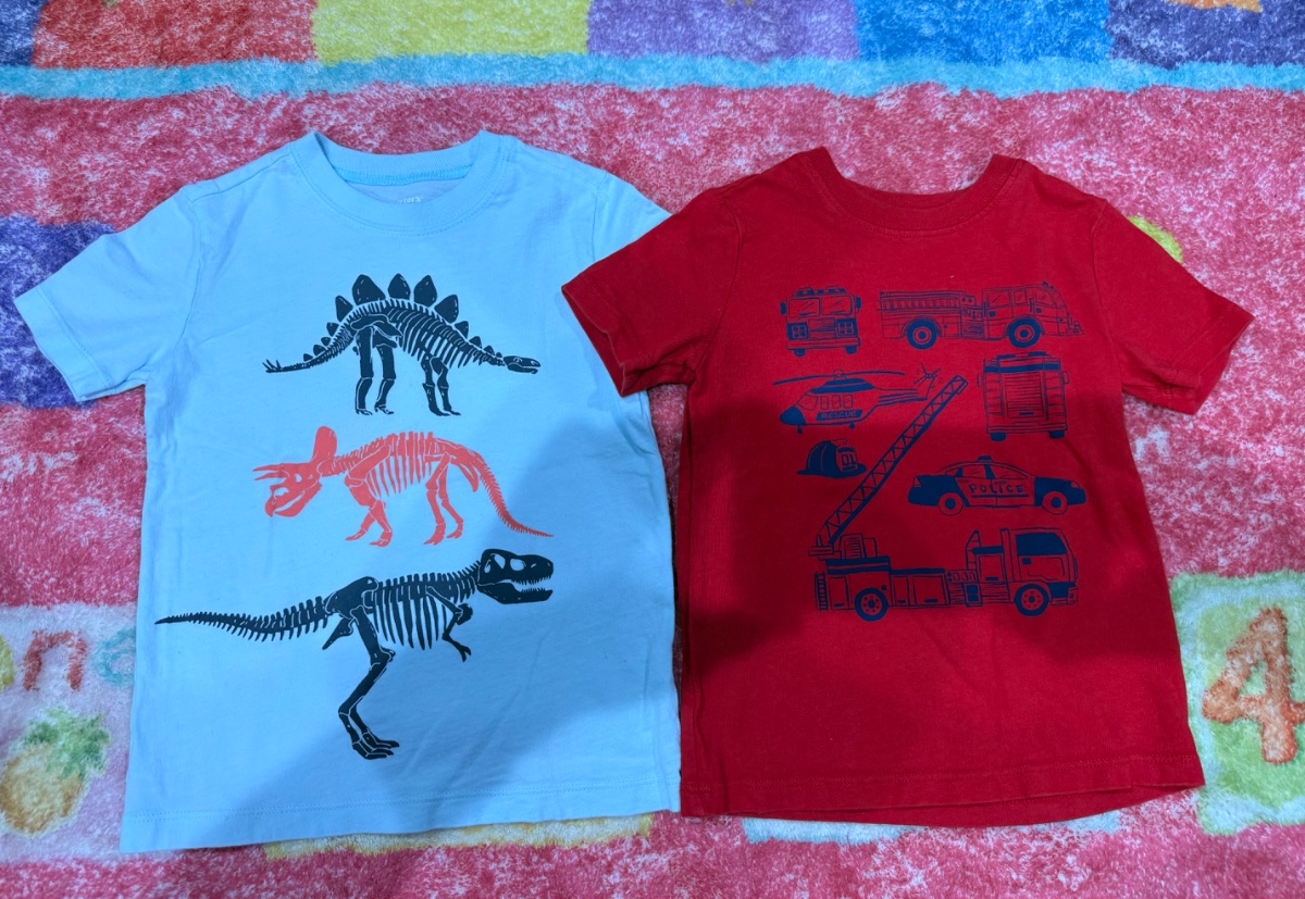 Carter’s 2-Pack Kids Shirts 2T