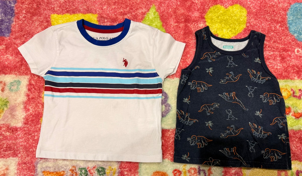 2 Toddler Shirts Size 2T