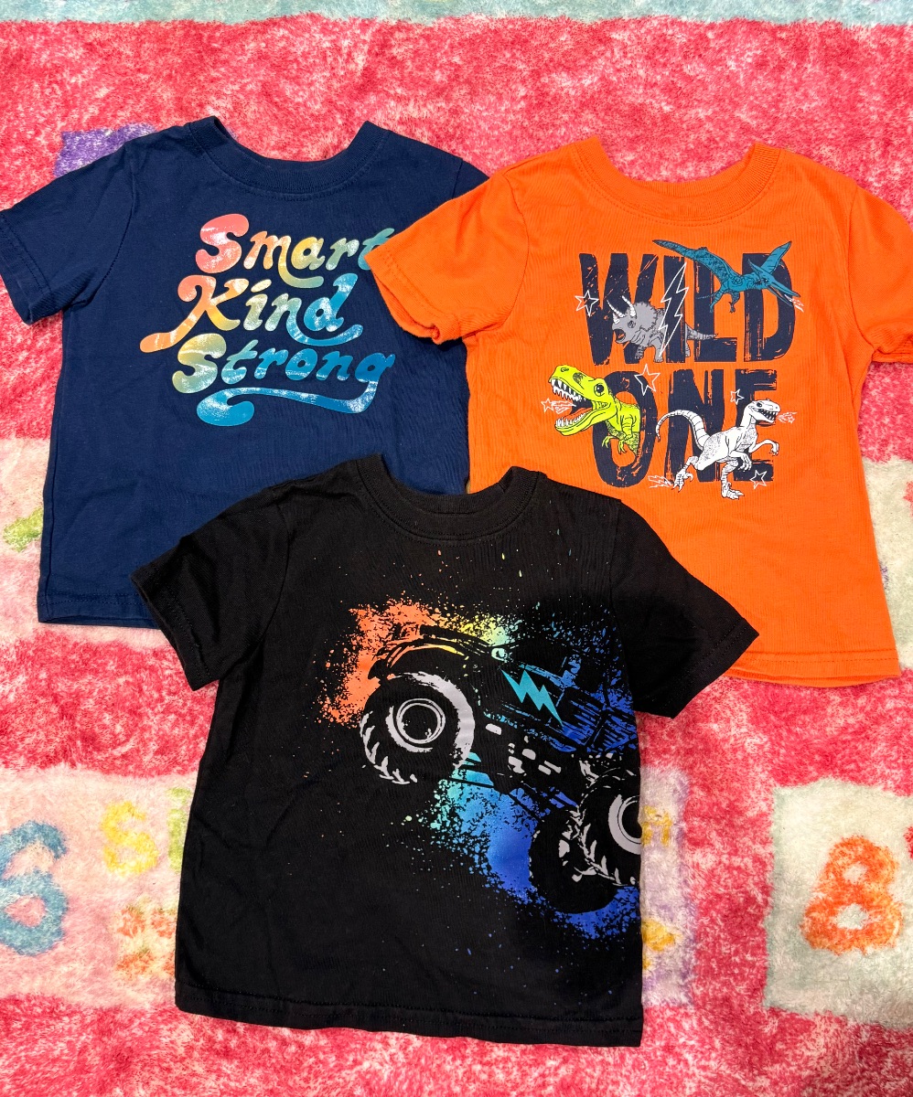Toddler Boys T-Shirts Bundle 18M