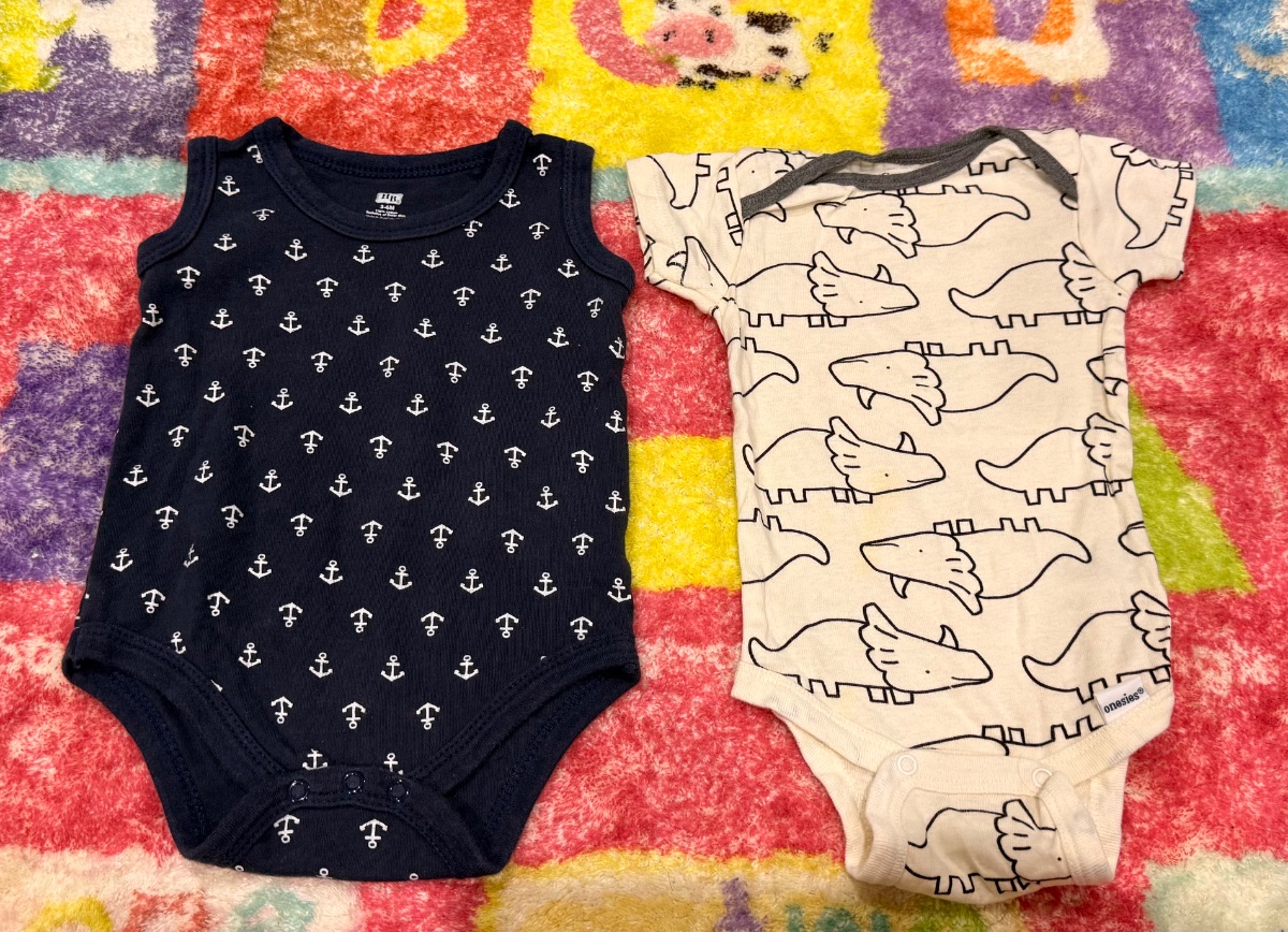 Baby Bodysuit Set 3–6 Months